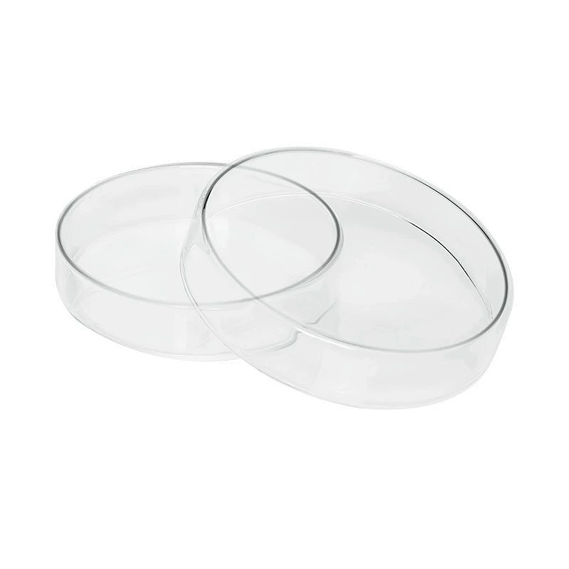 Large Glass Petri Dish